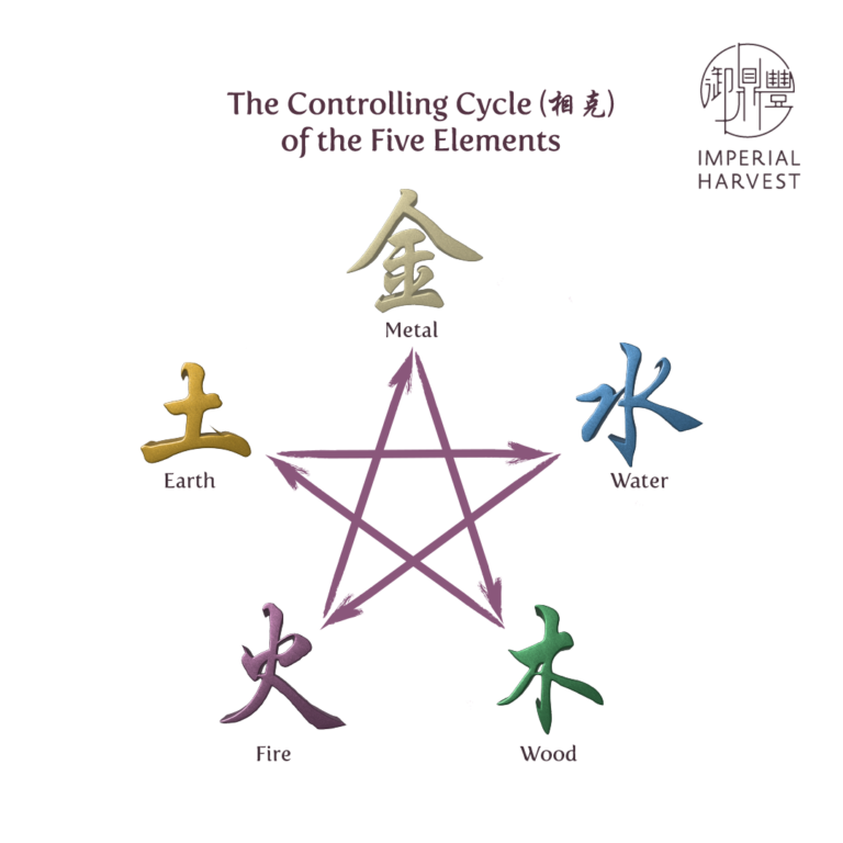 Five Elements in Chinese Metaphysics