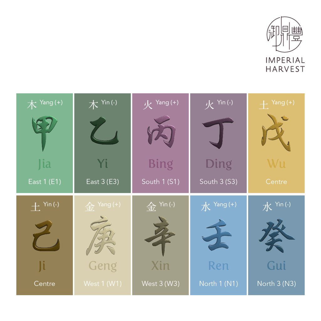 Understanding Your Daymaster